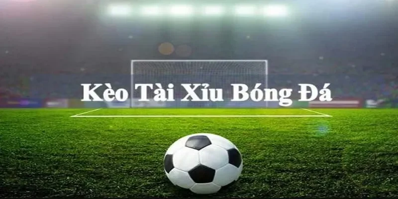 Cẩm nang đọc kèo dễ hiểu dành cho người chơi mới