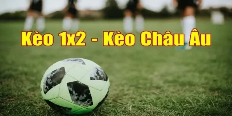 Những tuyệt chiêu giúp bet thủ chinh phục kèo châu Âu SV388 hiệu quả